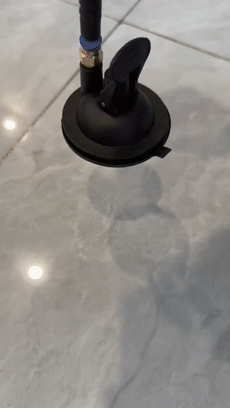 Cat playing with a suction cup boxing toy